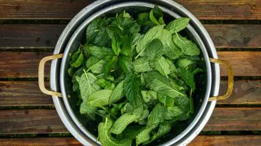 garnishing-instructions-image